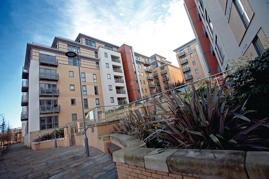 Report calls for private rented sector reform