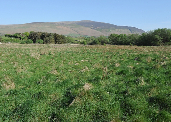 Why Bootle’s building on this national park