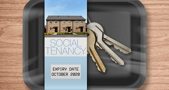 Government working with councils on fixed-term tenancies