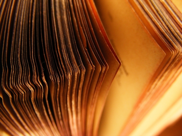 Inside Housing - Insight - Open book approach