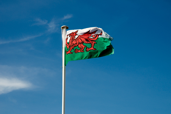 Review to recommend rent and grant reforms in Wales