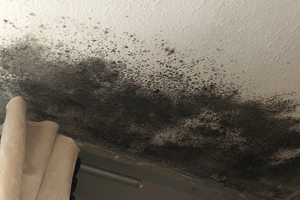 New ombudsman tables reveal worst-performing landlords on damp and mould