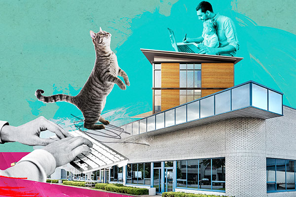 Working it out: how the sector is embracing the hybrid office model in a post-pandemic world