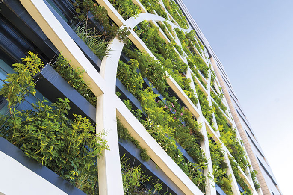 NatWest Group launches "Sustainable Homes and Building Coalition"