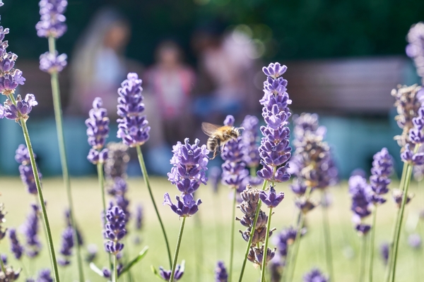Orbit's Environmental Social Governance (ESG) report