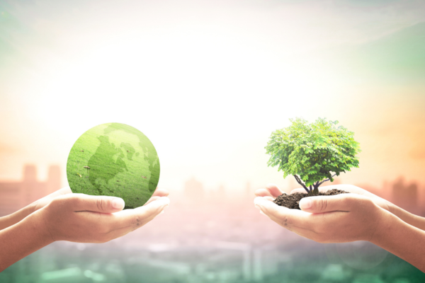 GEFI Paper - Pension providers and the path to Net Zero
