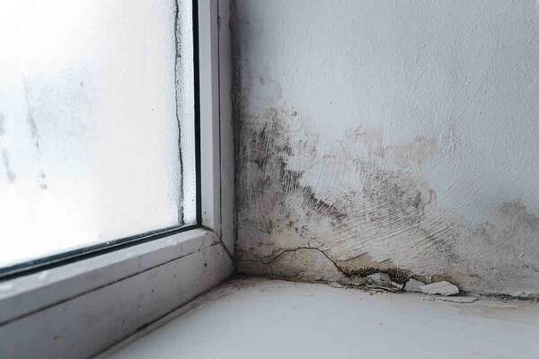 Double severe maladministration after G15 landlord left disabled resident in mouldy home for 19 months