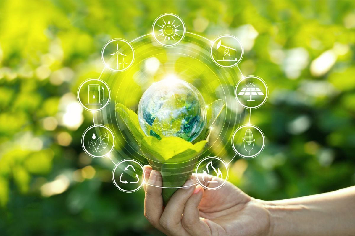 Unlock Net Zero News Views Marches LEP Launches 4million Energy Fund