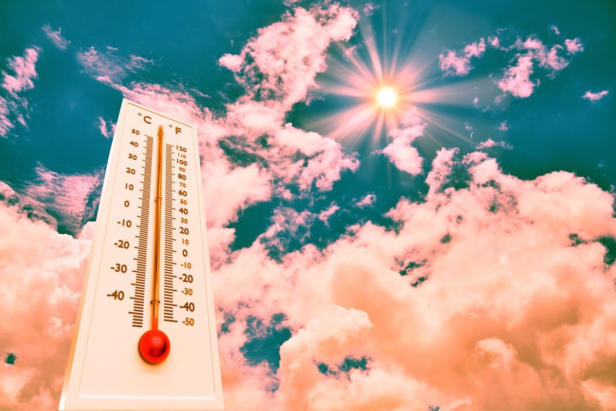 Unlock net zero news views joint hottest summer on record for england