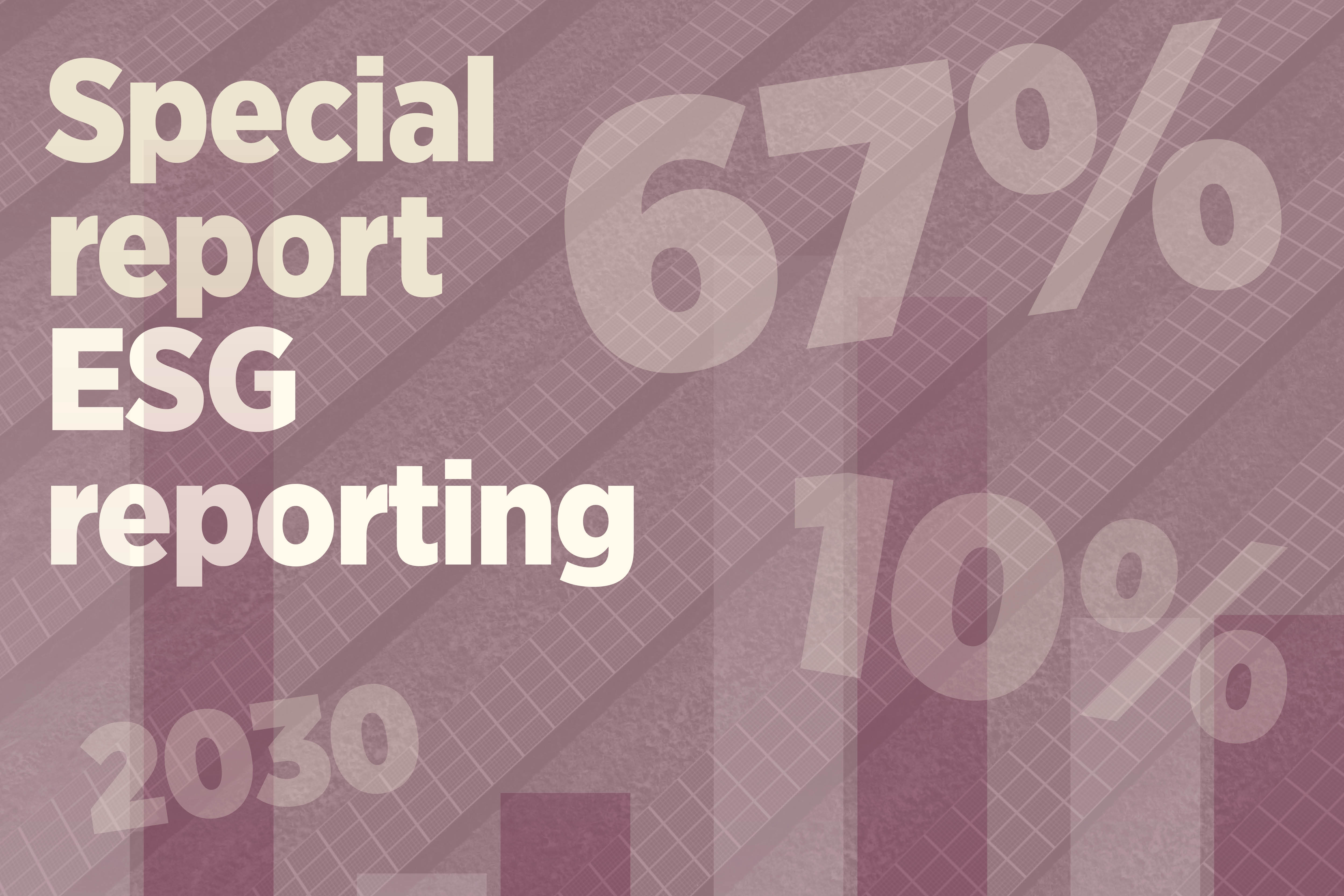 Special report: ESG reporting