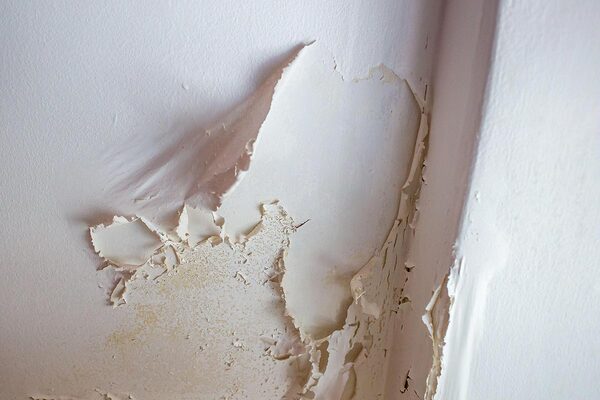 North West provider hit with two severe maladministration findings over damp and mould