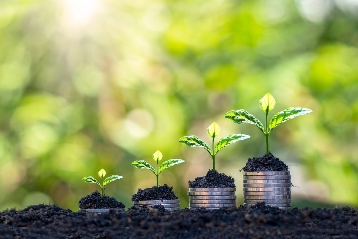 UK needs 40,000 new businesses to hit 2030 net zero ambition