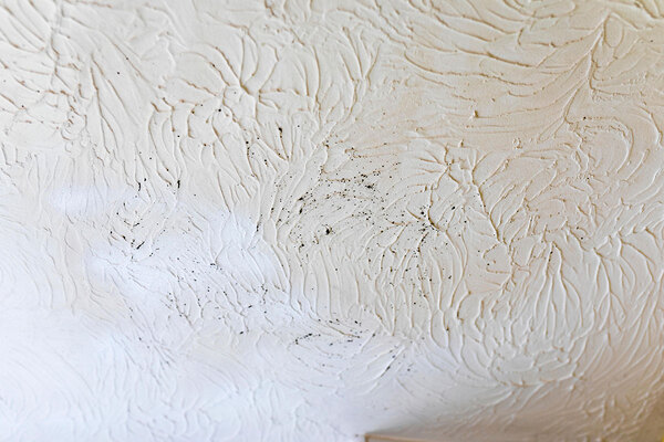 Ombudsman names five landlords that blamed damp and mould on tenants’ ‘lifestyle’