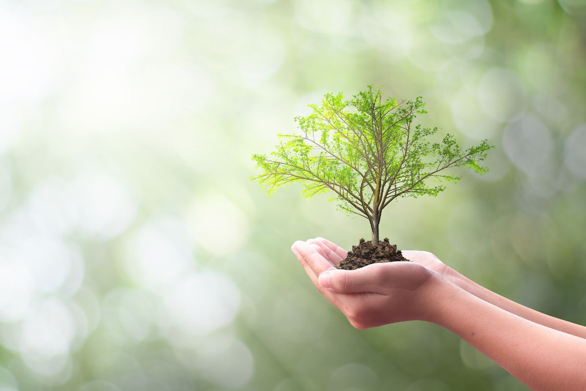 Orbit launches its Sustainable Finance Framework