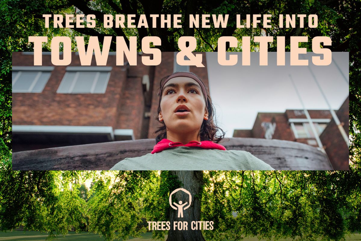 Trees for Cities launch new campaign for UK coastal towns and cities