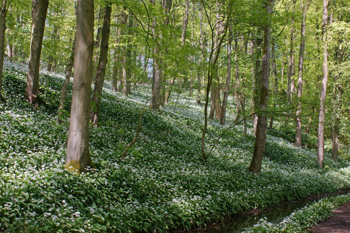 Building for the future means working with nature