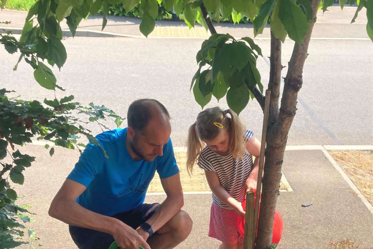 Campaign launched to water new street trees