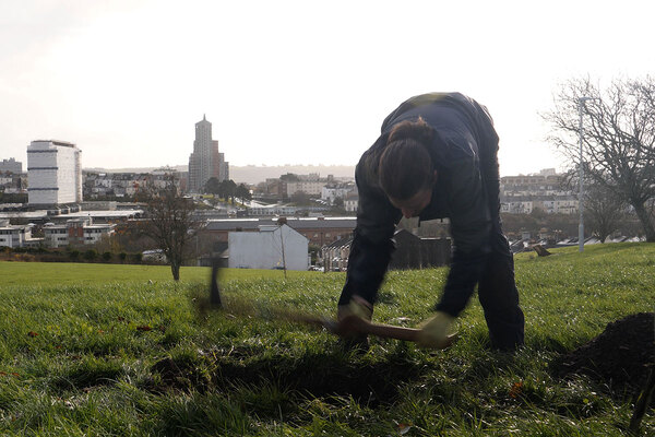 City council sets up ‘habitat bank’ for developers to boost biodiversity