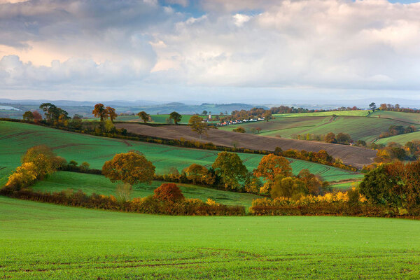 Trend report: green belt land – which parts of England now have the most?