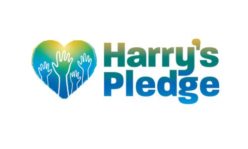 Harry's pledge