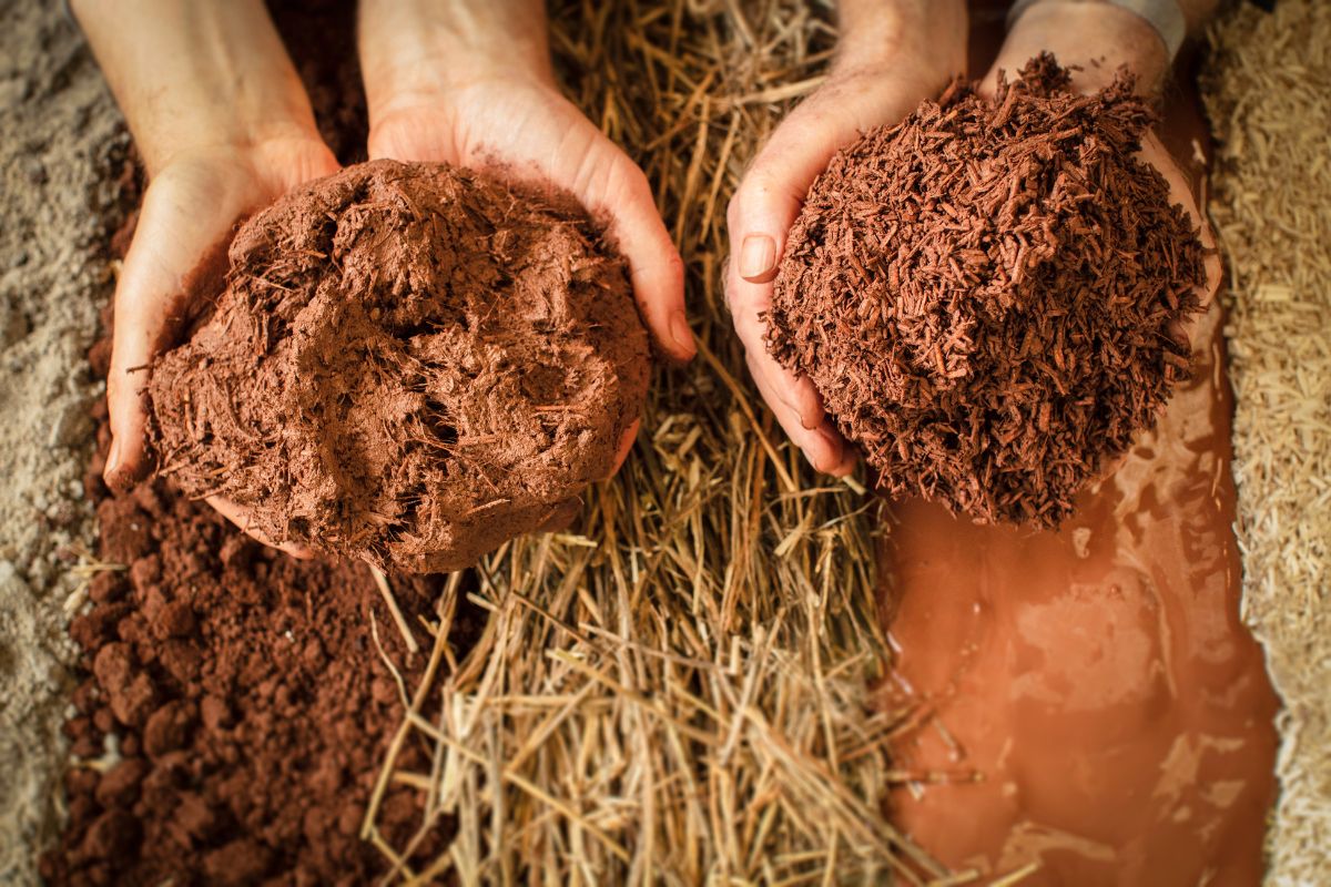 CobBauge: Unearthing Innovation