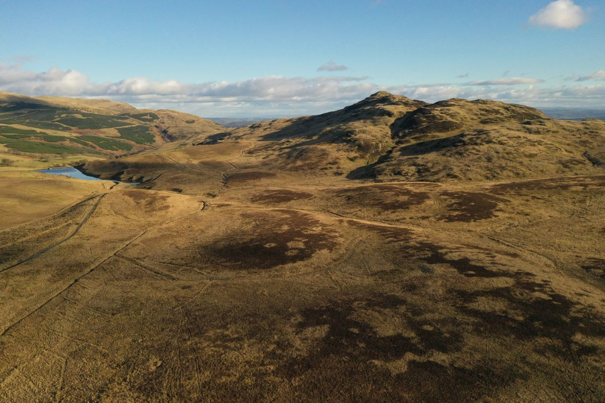 University of Edinburgh launches forest and peatland restoration scheme
