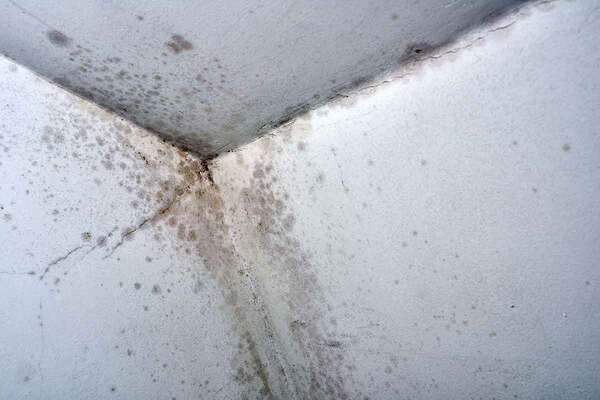 Ombudsman’s new powers lead to 15 recommendations for landlord over tackling damp and mould