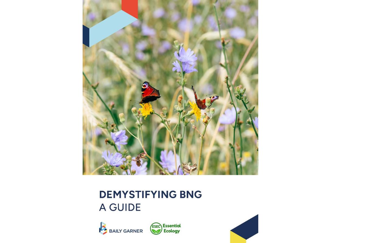 Baily Garner and Essential Ecology publish "Demystifying Biodiversity Net Gain (BNG) legislation