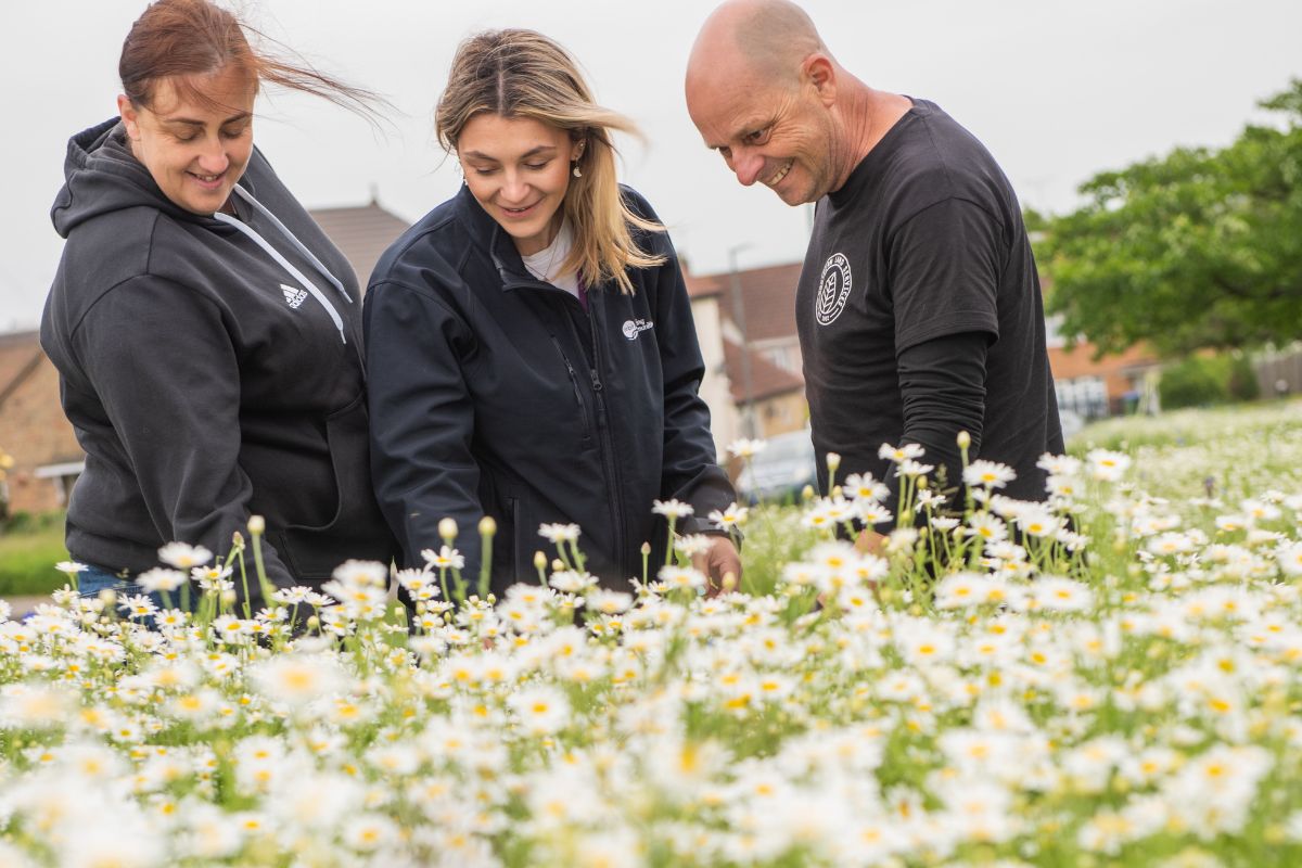 Orbit’s biodiversity approach blossoms in Bexley