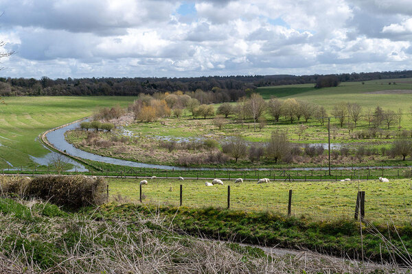 Rural landlord asks Rayner for social housing exemption from nutrient neutrality