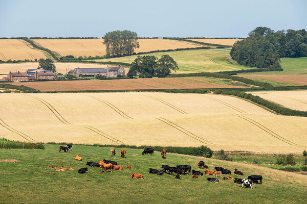 Government seeks views on land use in England