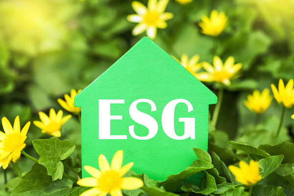 Northern Ireland&rsquo;s largest public landlord adopts ESG standard