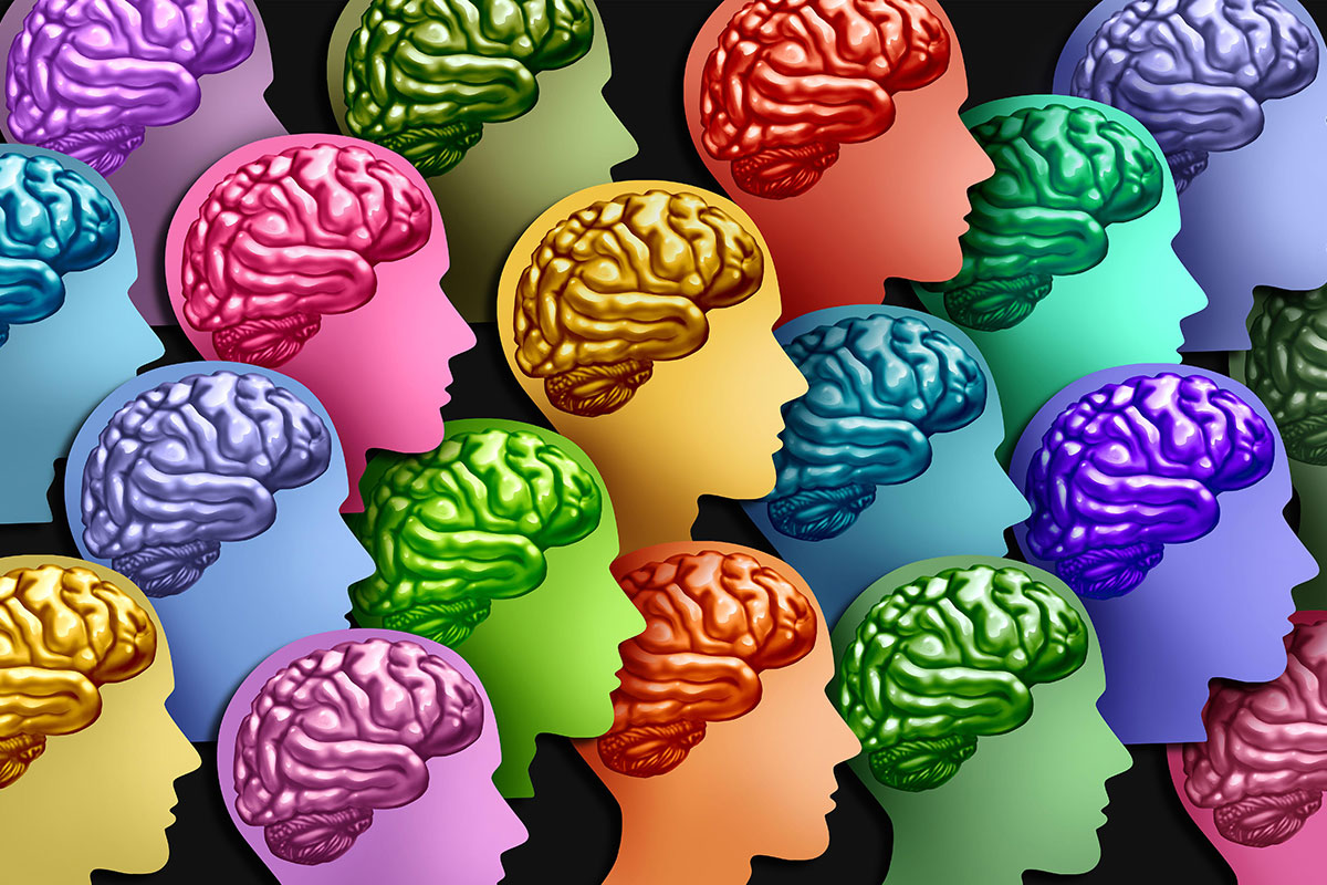 An illustration of heads with the brain visible in different colours