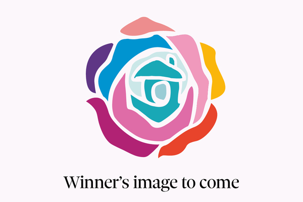 Career development initiative of the year