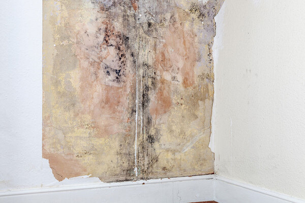 Government proposes compliance timetable for new Decent Homes and energy efficiency standards