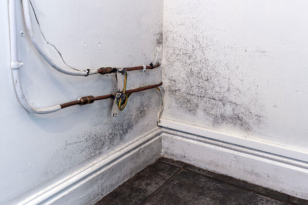 London landlord&rsquo;s first chief repairs officer to focus on damp and mould