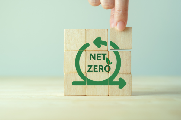 Lowering carbon while lowering bills? Affordability in new builds and retrofit for net zero