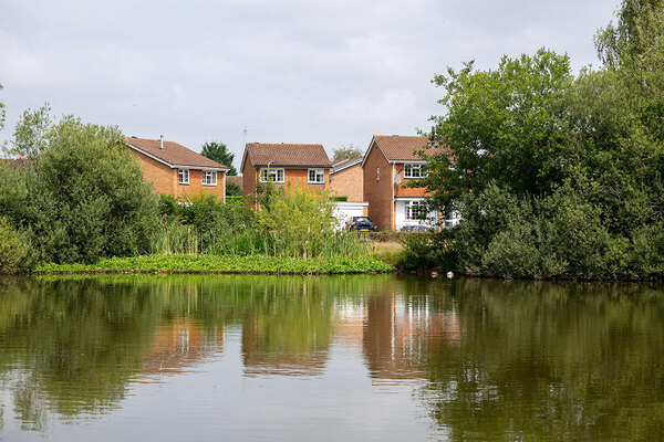 Environment Bank founder calls for Biodiversity Net Gain to shift off-site