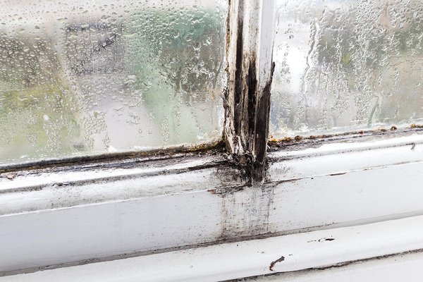 One-third of surveyed Scottish tenants lack confidence their landlord will fix damp and mould