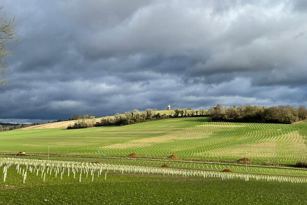 Halnaker Hill Natural Capital partners with Bidwells for one of the UK’s largest ever Biodiversity Net Gain schemes