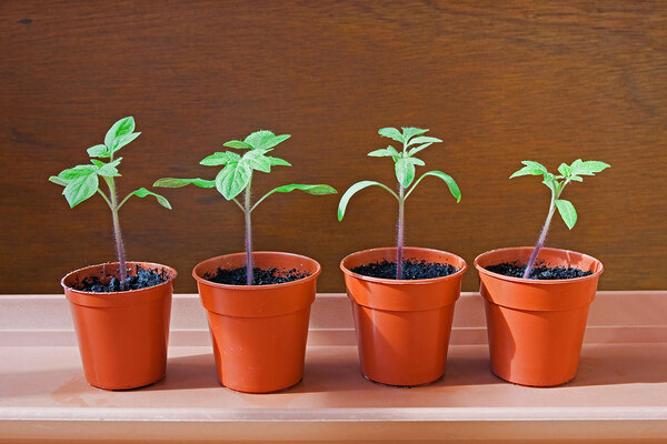 Hyde Group names four planned for-profit registered providers