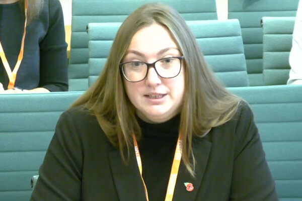 Affordability is &lsquo;key area&rsquo; missing from Renters&rsquo; Rights Act, MPs told