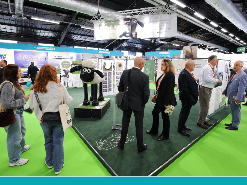 WOOL TRENDS CENTRE WOOL TRENDS CENTRE