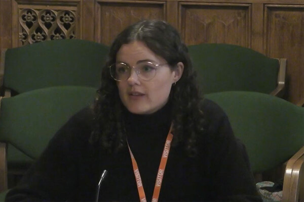 Black-led households highly overrepresented in temporary housing, MP-led inquiry hears