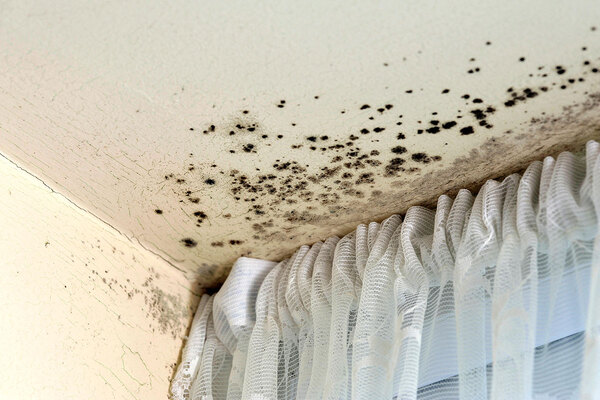 New rule for Welsh landlords dealing with damp and mould to come into force under WHQS from April