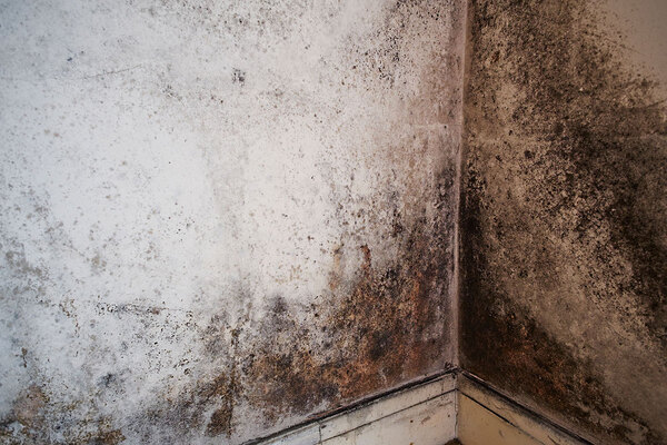 Landlords complying with Awaab&rsquo;s Law but facing challenges in consistency and capacity, survey finds