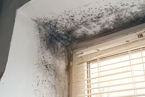 Two Welsh housing associations face ombudsman probe over damp and mould