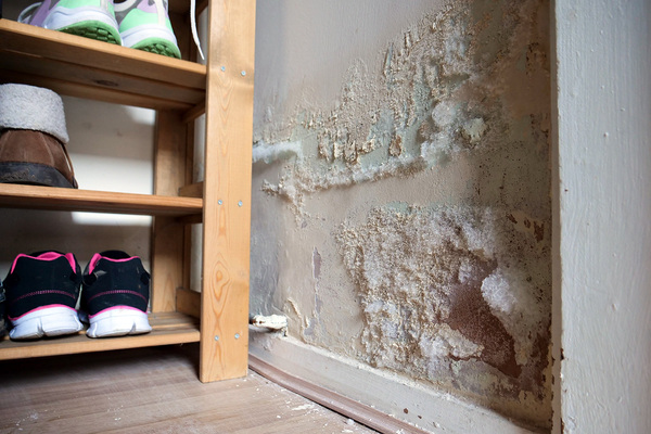 What does procurement data tell us about the lead-up to Awaab&rsquo;s Law?