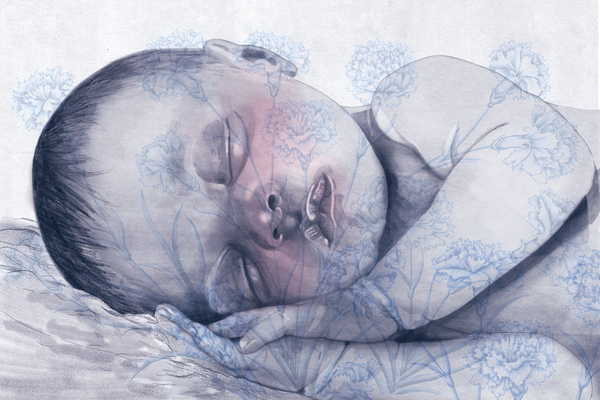 Unsafe sleep: how councils responded to the rule change on cots in temporary accommodation