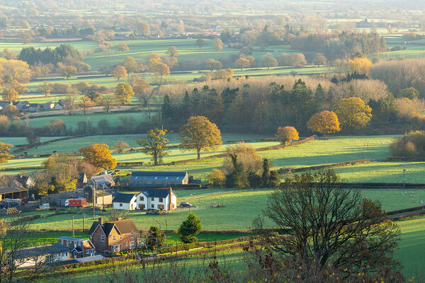 County and unitary councils believe government&rsquo;s planning reforms will weaken local voices and put rural areas at risk